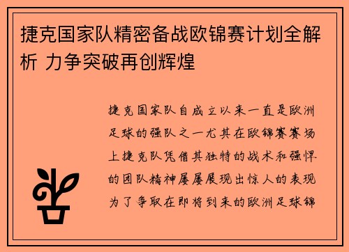 捷克国家队精密备战欧锦赛计划全解析 力争突破再创辉煌