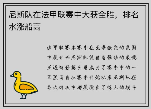 尼斯队在法甲联赛中大获全胜，排名水涨船高