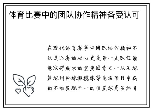 体育比赛中的团队协作精神备受认可