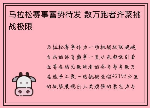 马拉松赛事蓄势待发 数万跑者齐聚挑战极限